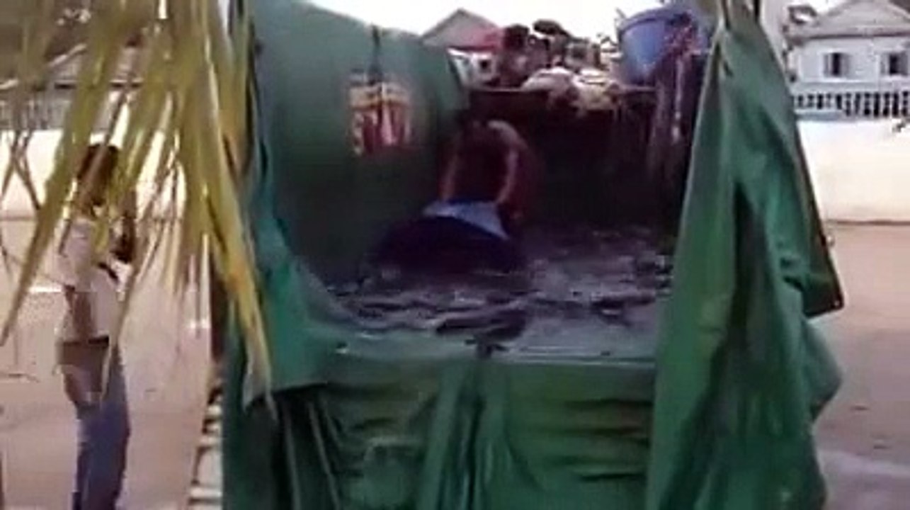 Thousand of Snake head fishes on the truck for selling to customers | Fish farming in Cambodia