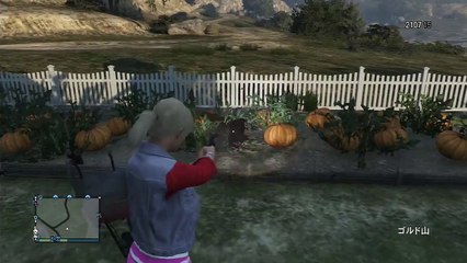 【GTAオンライン】エロい かかしをみつけた