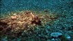 National Geographic Documentary 2015 - Ocean Wonders Sea Monsters Ocean Documentaries