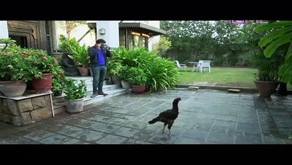 Kaanch Kay Rishtay Episode 74 P1