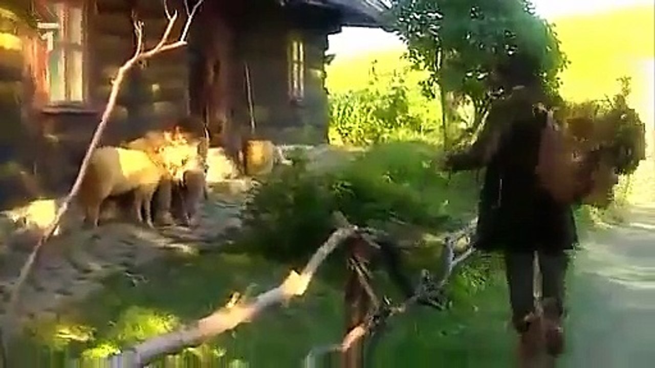 O sirotkovi z Radhoště (TV film) Pohádka / Česko, 1996, 70 min