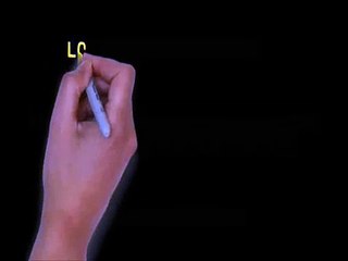 The Bearded Dragon Guide Discount