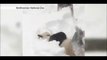 Giant Panda Tian Tian enjoys Washington blizzard