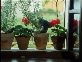 O zakletém hadovi 1983 ukázka České filmy