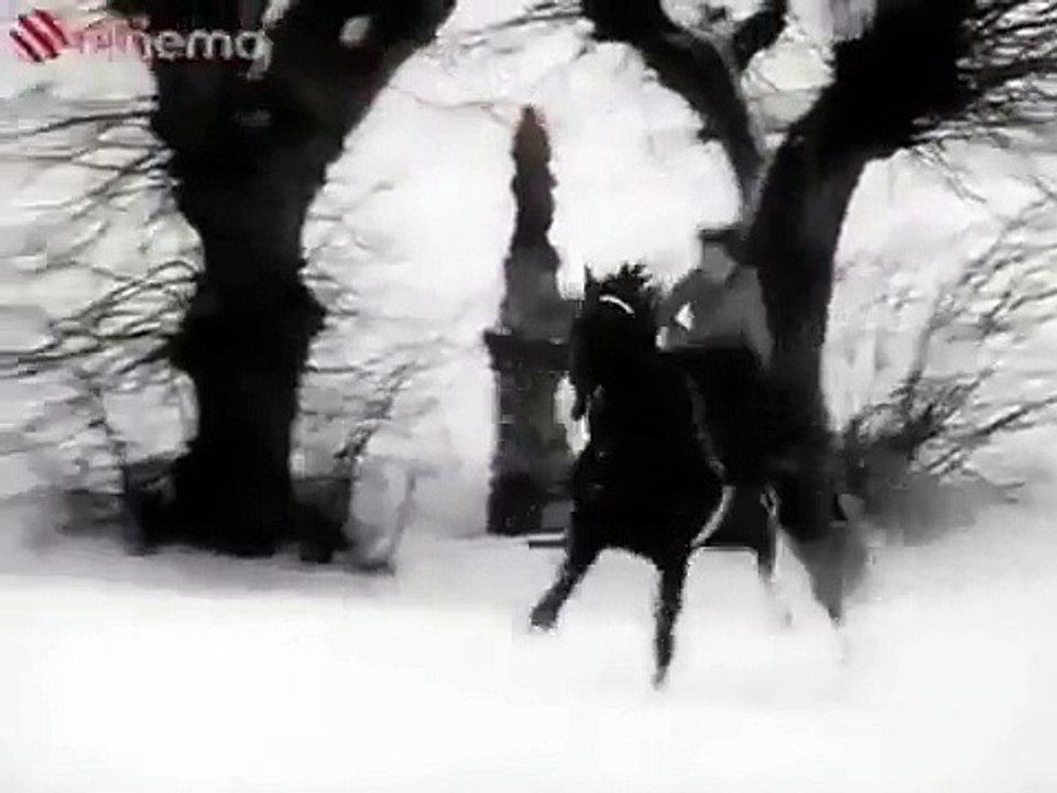 Lišáci, Myšáci a Šibeničák celý film České filmy