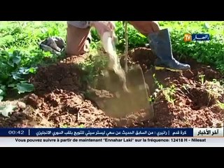 جلب فلاحين صينيين  لحل مشكل الزراعة في الجزائر