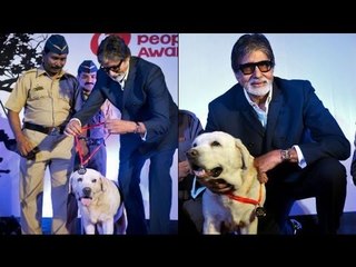 Amitabh Bachchan at Pawsitive People's Awards 2013
