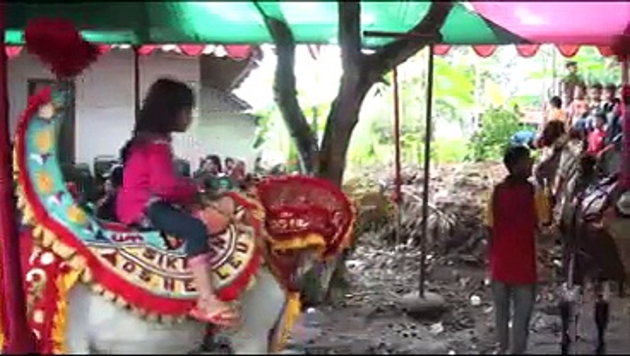 KUDA BISA MENARI