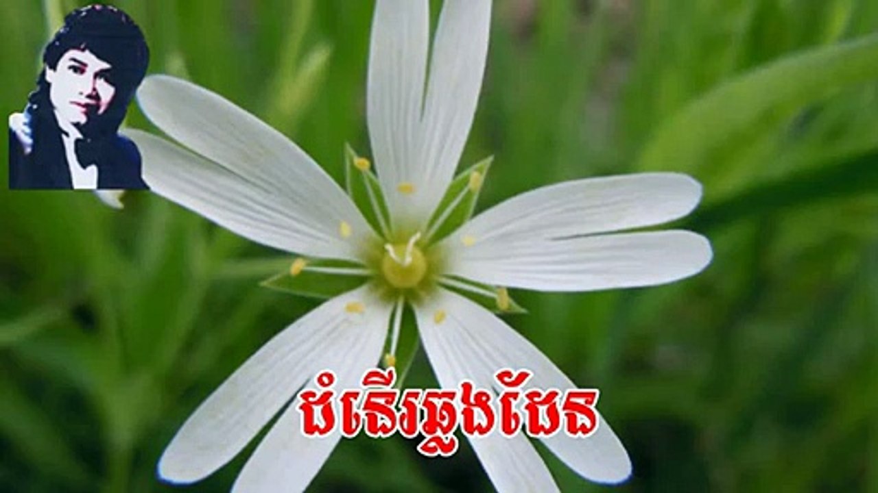 Keo Sarath Non-Stop | Keo Sarath Song Mp3 | Keo Sarath Old Song Collection | Dam Noeu Chhl