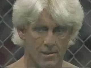 Hulk Hogan vs Ric Flair (HH94 Part One)