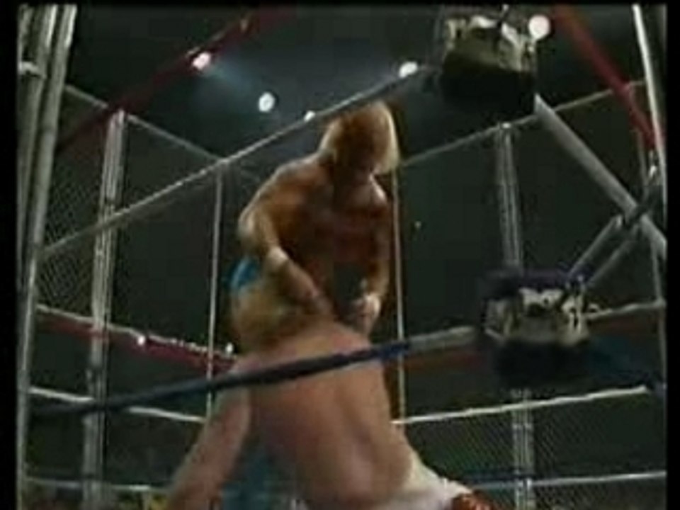 Steel Cage Big John Studd