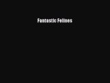 [PDF Download] Fantastic Felines [PDF] Online