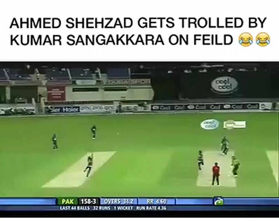Brilliant from Sanga!!