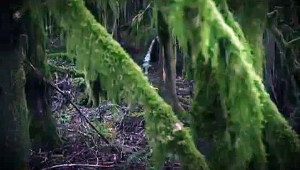 강원랜드사이트≤【K E B 2 3。C O M】≥카지노사이트