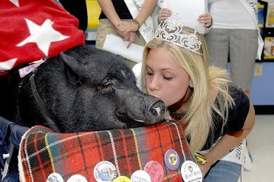 Swine Flu Symptoms 2016