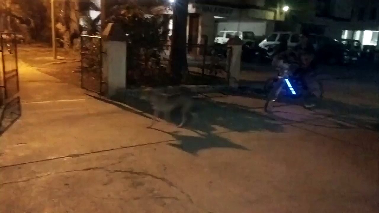 funny video n crazy stunt