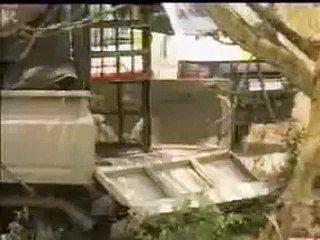 Tiger live Attack  very dangerous fight between lion and man