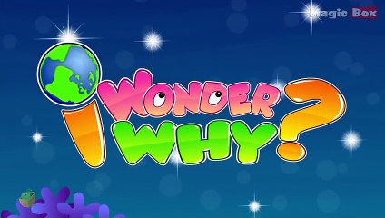 Descargar video: Why Do Moon And Planets Not Twinkle Like A Star - I Wonder Why - Amazing Fun Facts Video For Kids