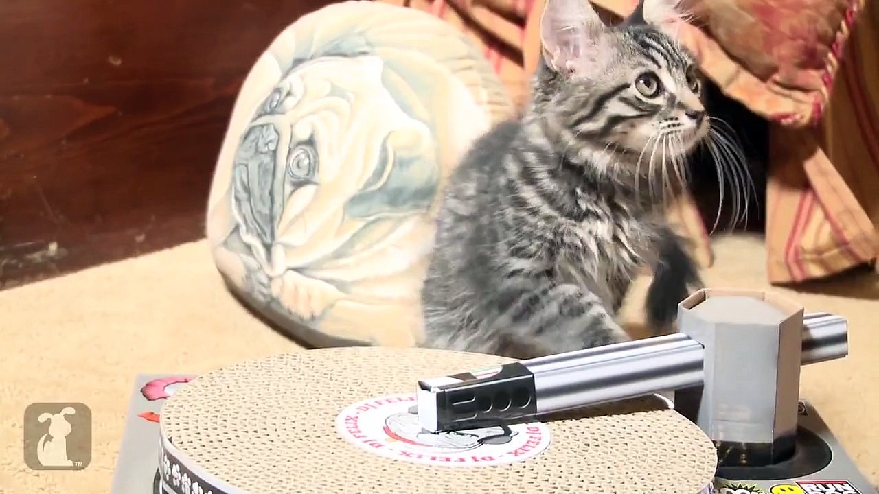 Britney Spears - Till The World Ends