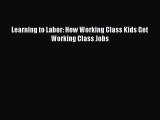 (PDF Download) Learning to Labor: How Working Class Kids Get Working Class Jobs Read Online