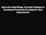 (PDF Download) Gods in the Global Village: The World's Religions in Sociological Perspective