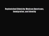(PDF Download) Replenished Ethnicity: Mexican Americans Immigration and Identity Read Online