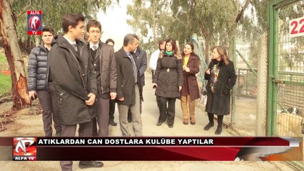 Atıklardan Can Dostlara Kulübe Yaptılar