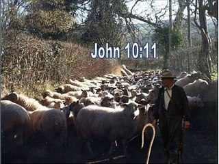 8 Perfect redemption Plan 3 Page 54 - 60