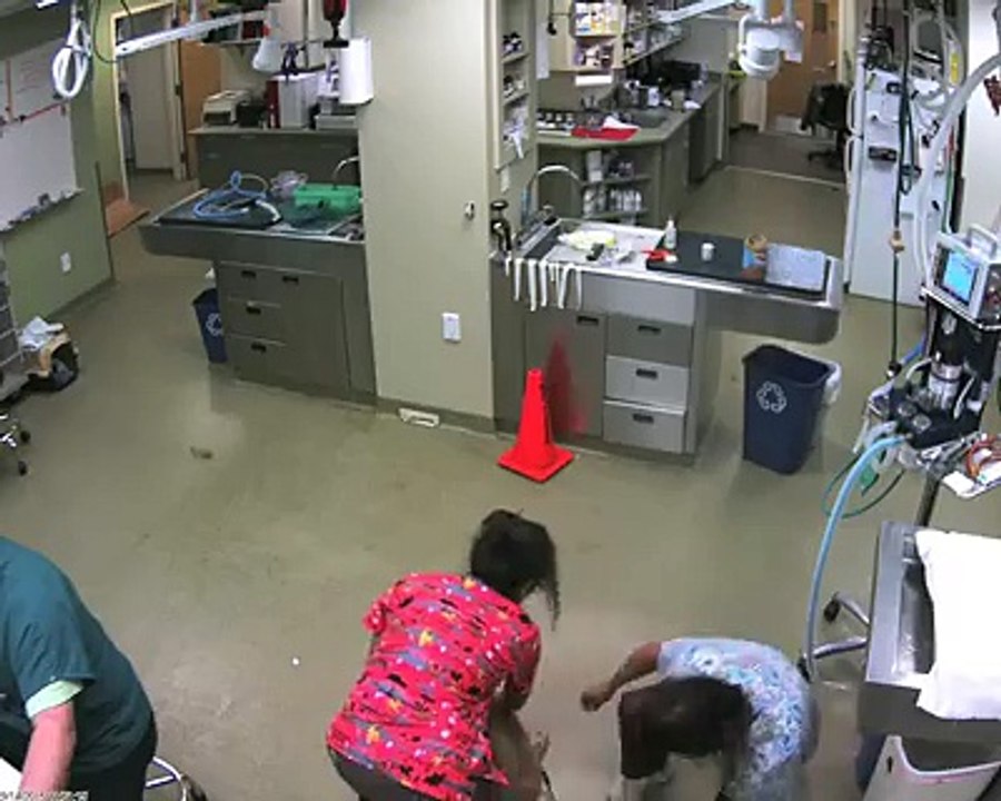 hehehe Watch Till The End