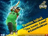 Peshawar Zalmi Song_HD-720p_Google Brothers Attock