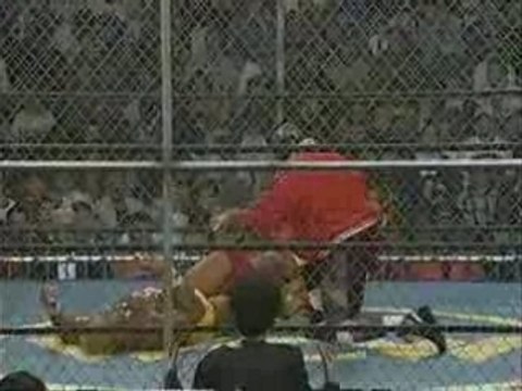 Hulk Hogan vs Ric Flair (HH94 Part Two)