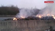 Agriculteurs. La RN165 bloquée à Caudan