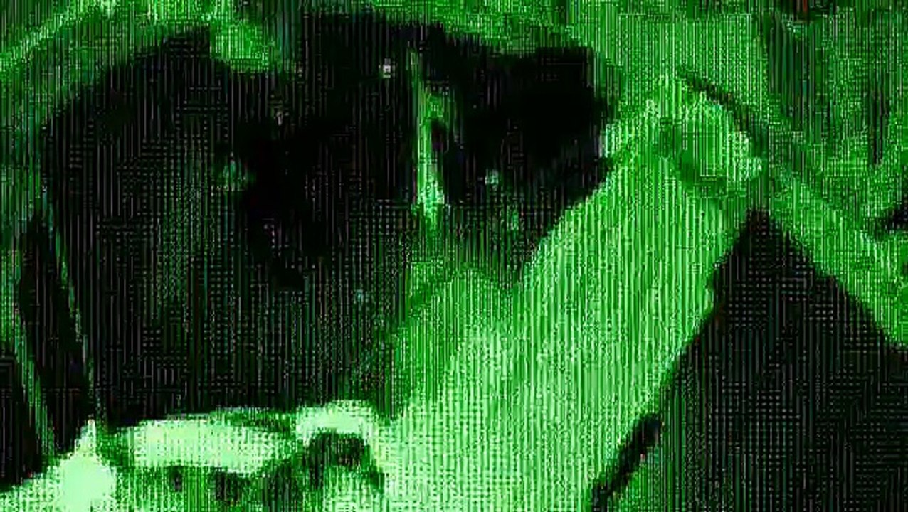 Matrix en código ASCII (1990)