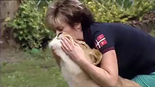 Evde aslan beslemenin kötü sonu