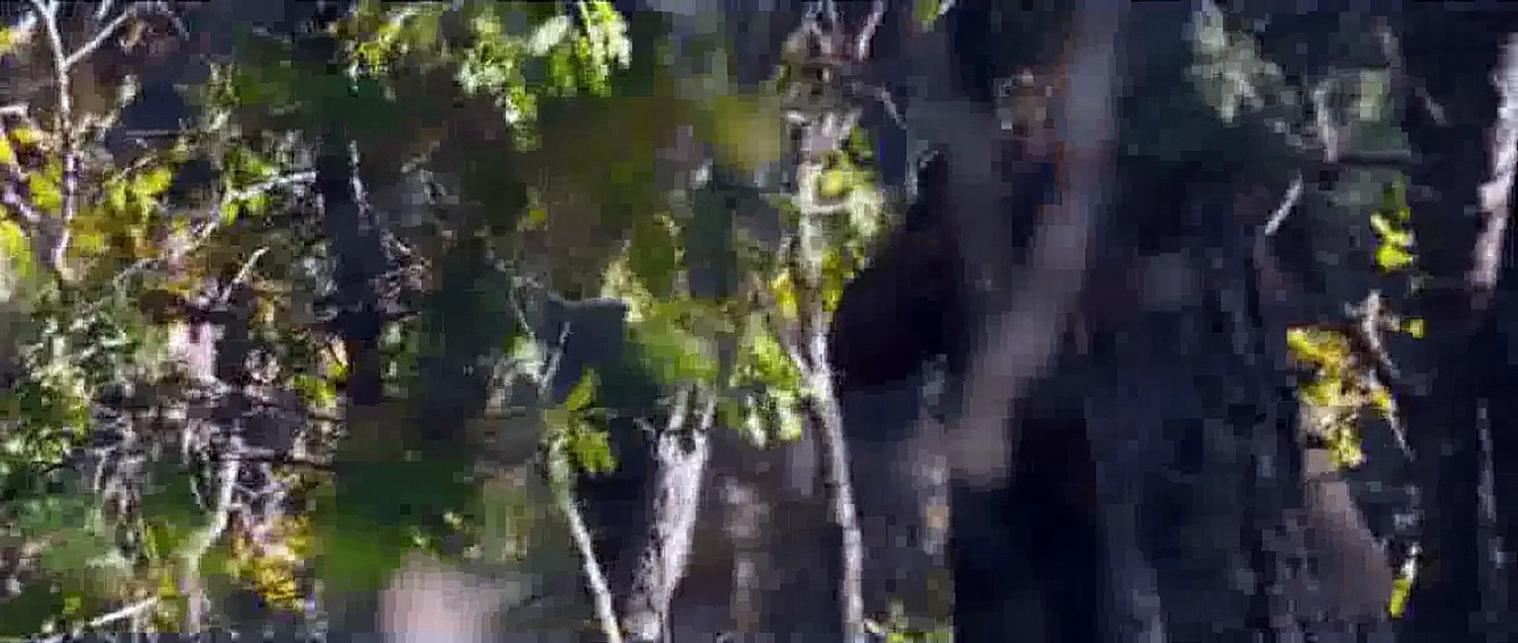 Lone Survivor Best Combat Scenes