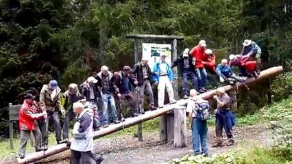 Domino Taşı Gibi Devrildiler