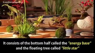 Best technology ever! Floating trees!