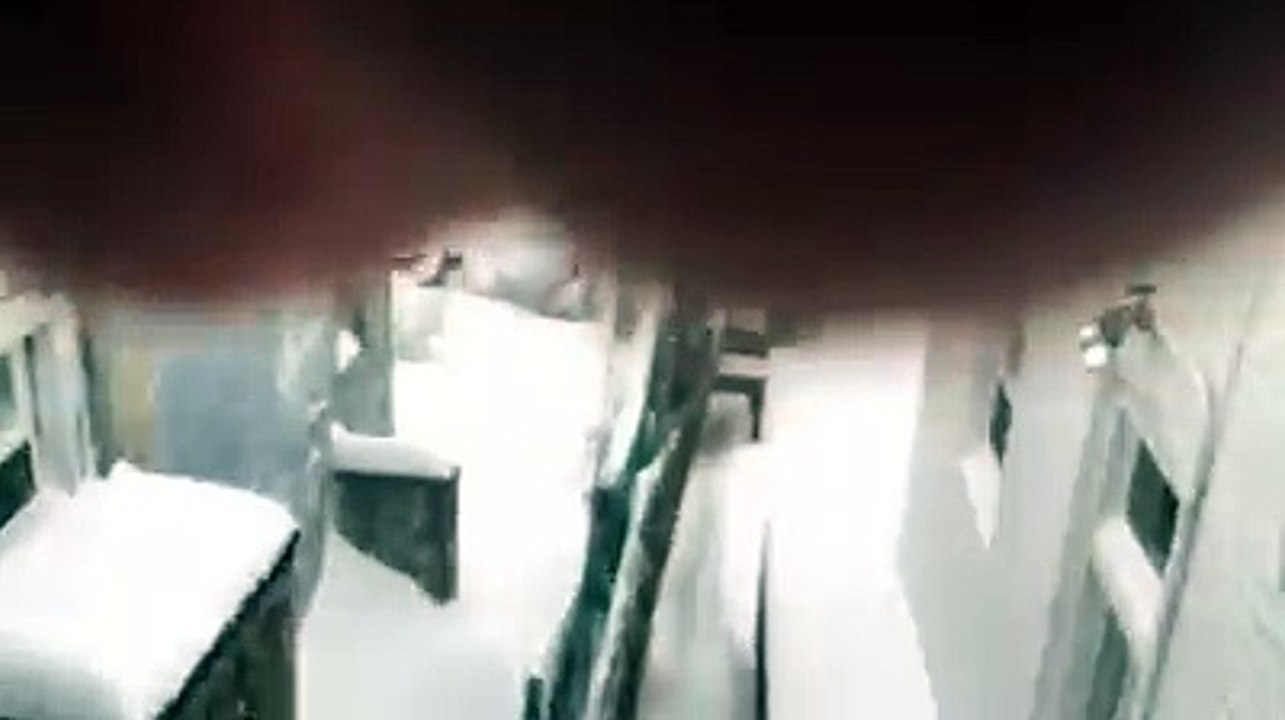 La vidéo déchirante d'un vieux chien malade laissé dehors lors de la tempête Jonas