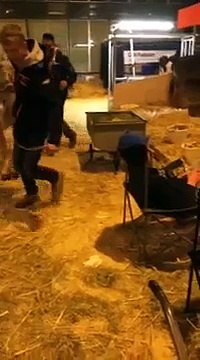 Un garçon ivre se fait chier dessus par une vache dans une étable