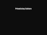 (PDF Download) Privatising Culture Download