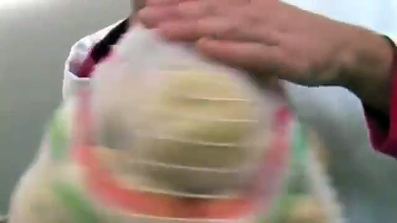 Fimar Potato Peeler