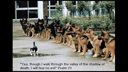 Try Not to Laugh Or Grin While Watching This