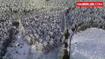 Aydos Ormanında Kar Manzarası Havadan Görüntülendi