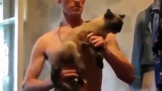 Funny cat videos 2015 try not to laugh or grin P 01 in 11 2015
