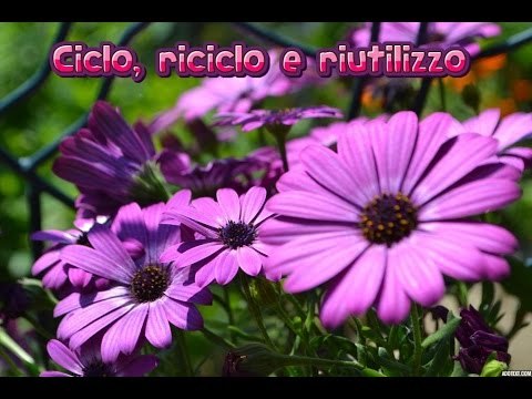 Ciclo riciclo e riutilizzo n°2