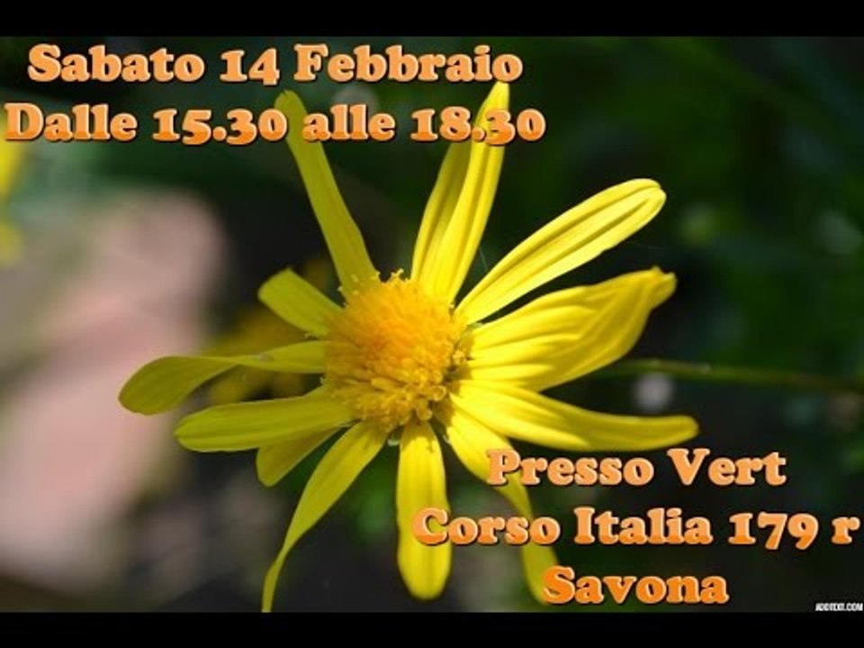 Vlog-evento 14 febbraio Vert