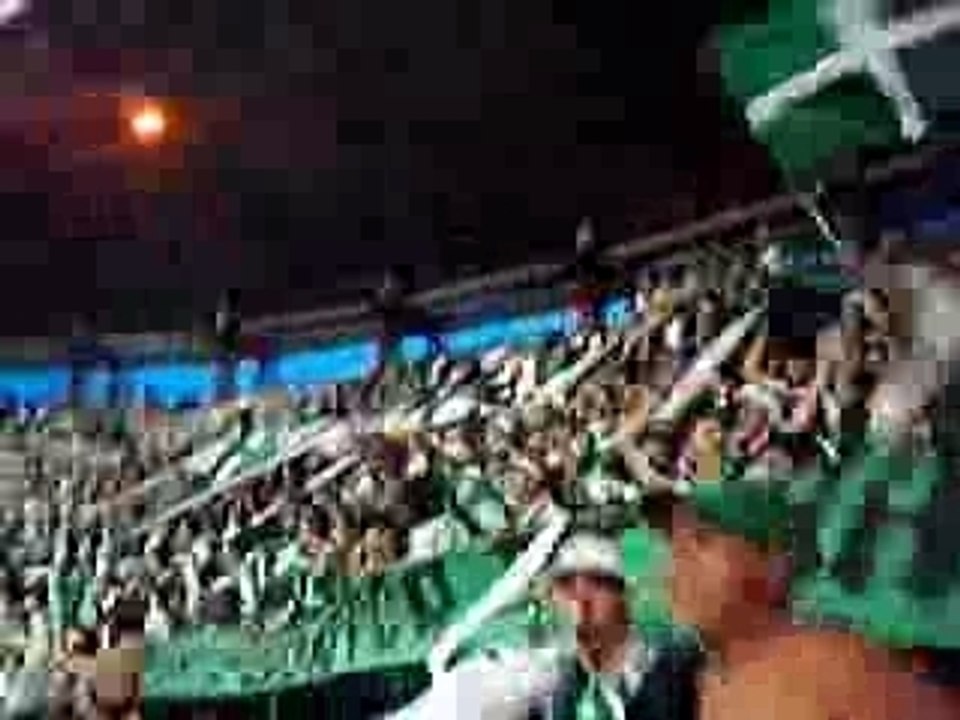 Frente Radical  Deportivo Cali