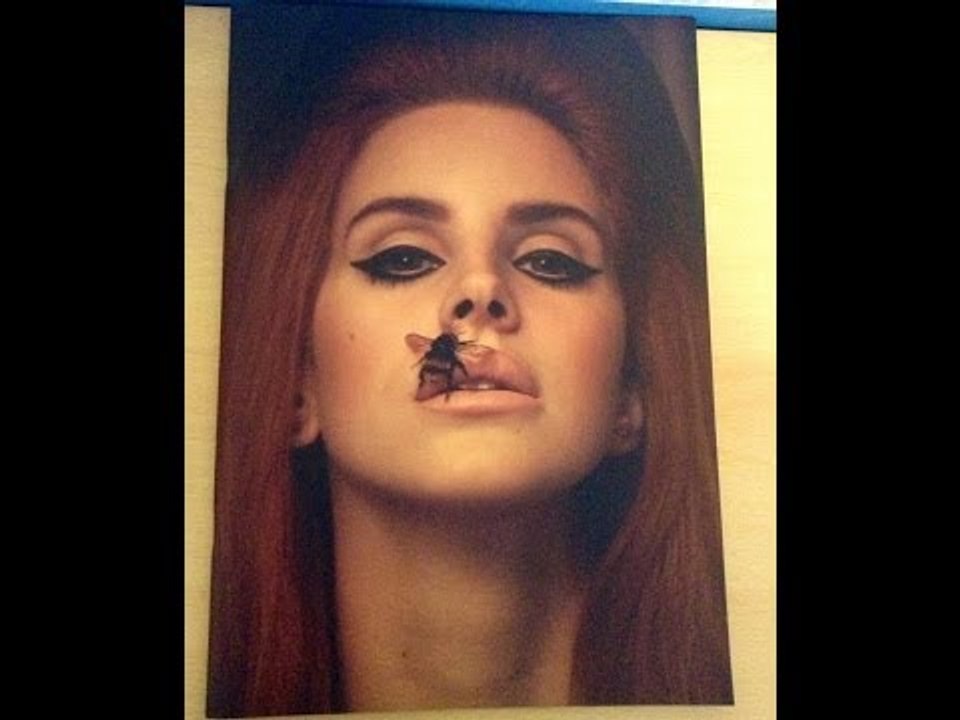 Lana Del Rey tour book