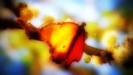 Anaconda in USA Full Documentary