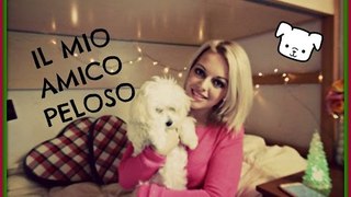 TAG: Il mio amico peloso - Benvenuta Molly | Bea'sWorld